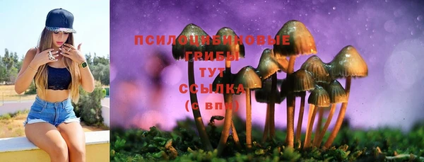 МДПВ Нея