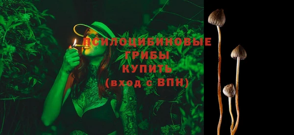 ALPHA PVP Нягань