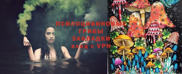 МДПВ Нея