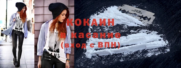 бошки Новозыбков