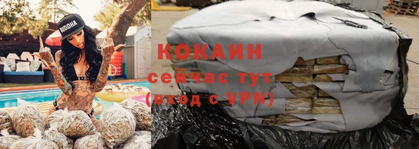 бошки Новозыбков