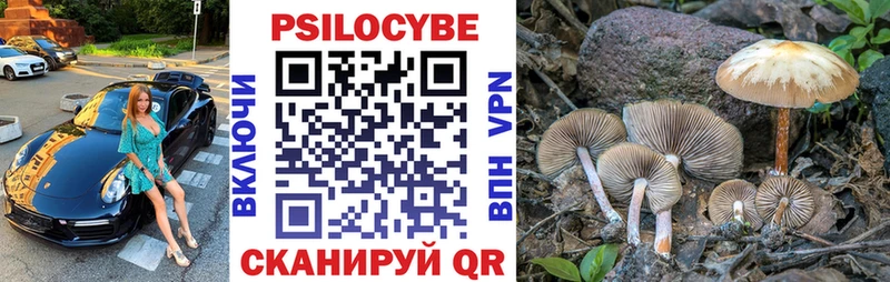 Псилоцибиновые грибы MAGIC MUSHROOMS  Малая Вишера 