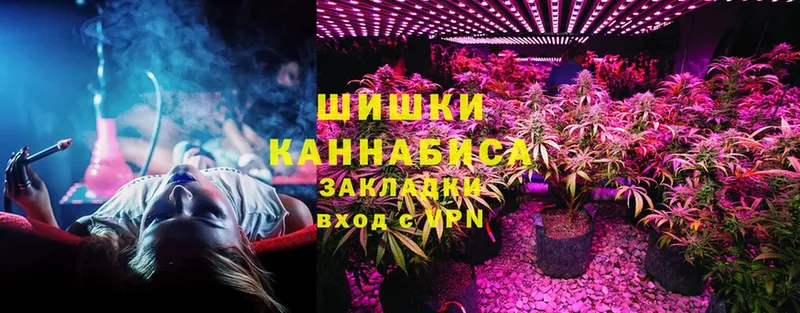 Шишки марихуана OG Kush  Малая Вишера 